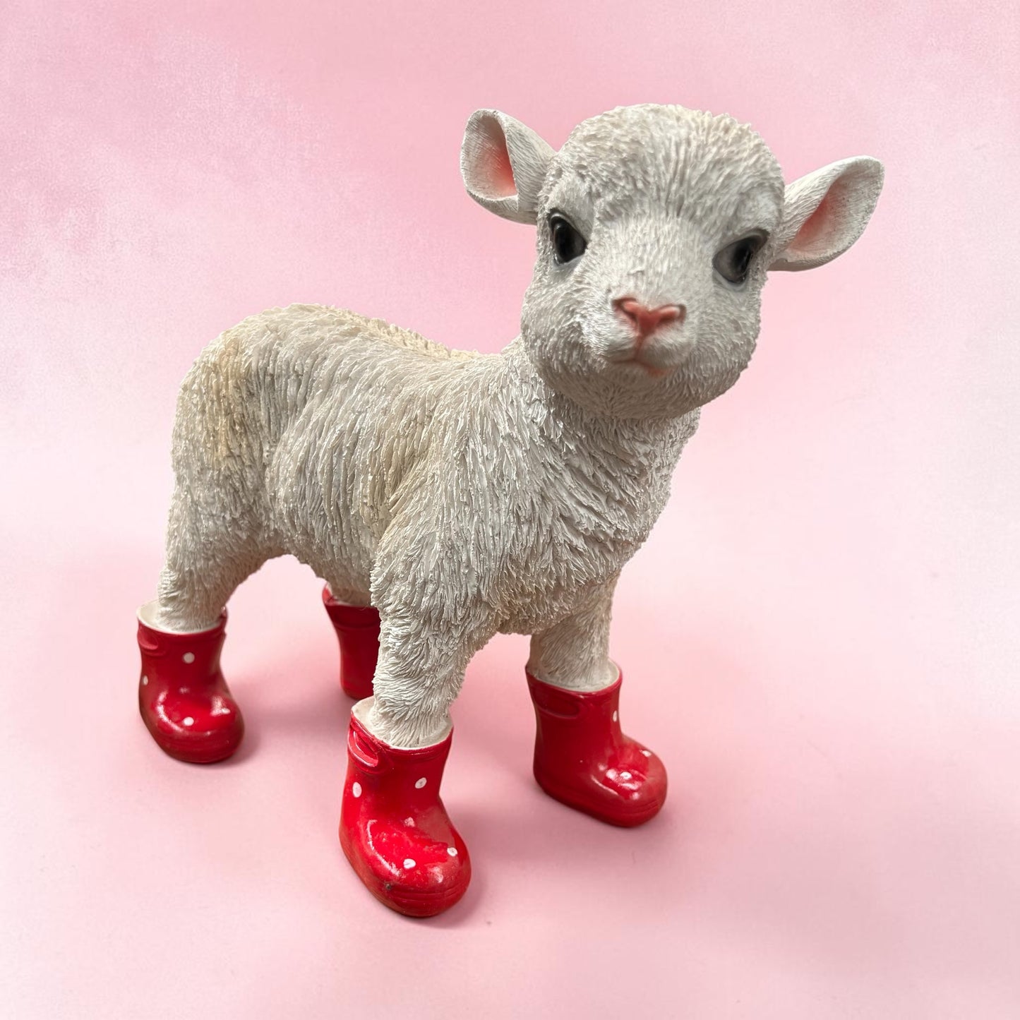 Lamb with wellies | Sign of the times Stoke