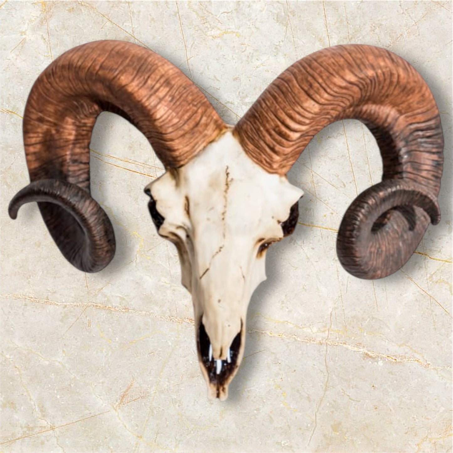 "Natural" Ram Skull Wall Head – Rustic Wall Décor with Intriguing Charm