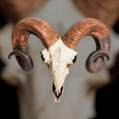 "Natural" Ram Skull Wall Head – Rustic Wall Décor with Intriguing Charm