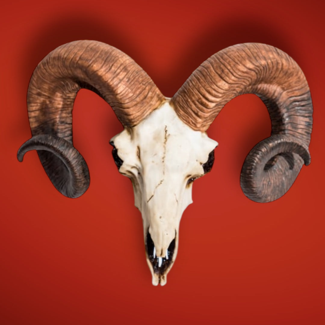 "Natural" Ram Skull Wall Head – Rustic Wall Décor with Intriguing Charm