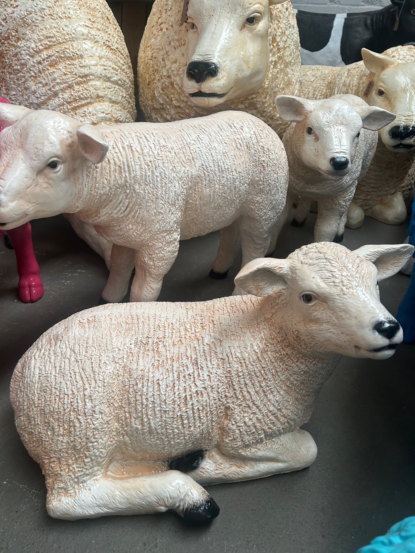 Sitting Lamb