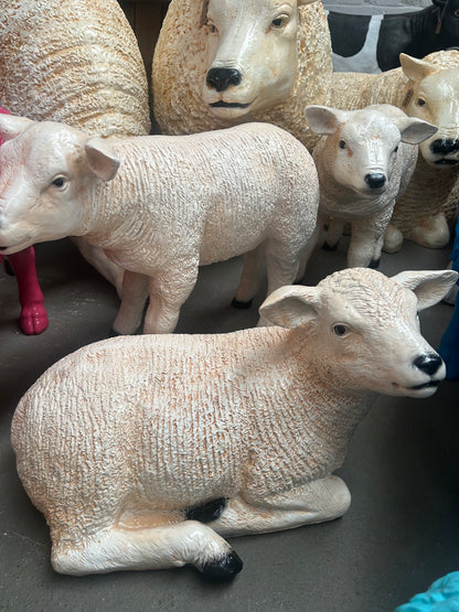 Sitting Lamb