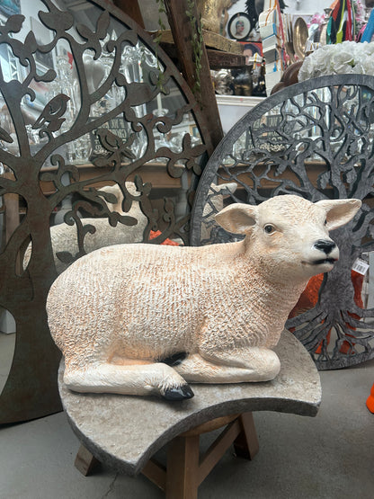 Sitting Lamb