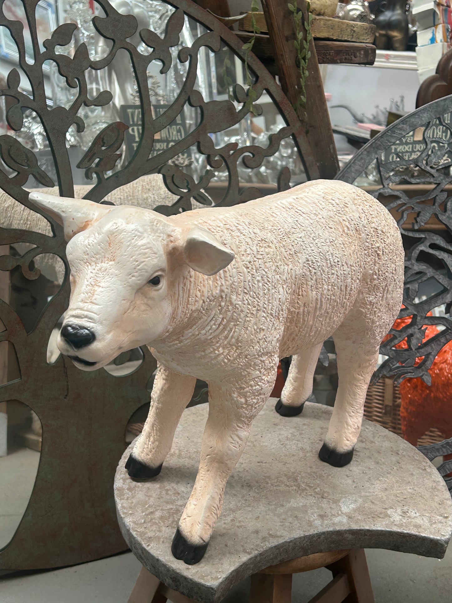 Standing Lamb