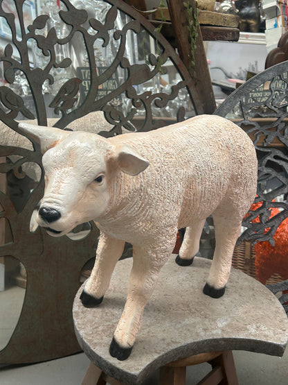 Standing Lamb