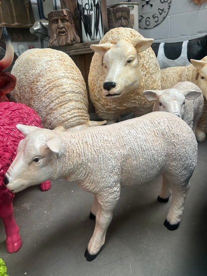 Standing Lamb