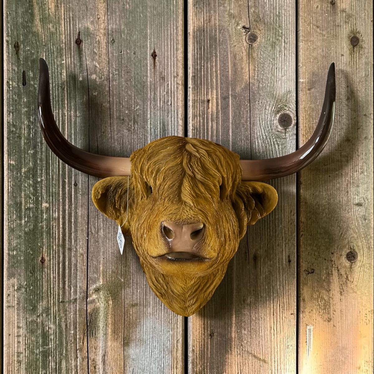 Highland Cow Head Wall Figure – Decorative Cow Wall Mount