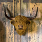 Highland Cow Head Wall Figure – Decorative Cow Wall Mount