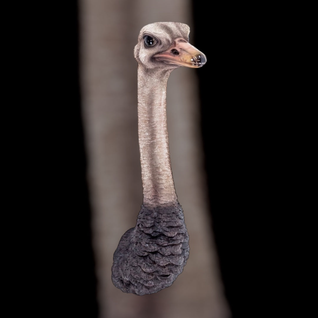 Stunning Ostrich Wall Mount – Realistic Resin Art
