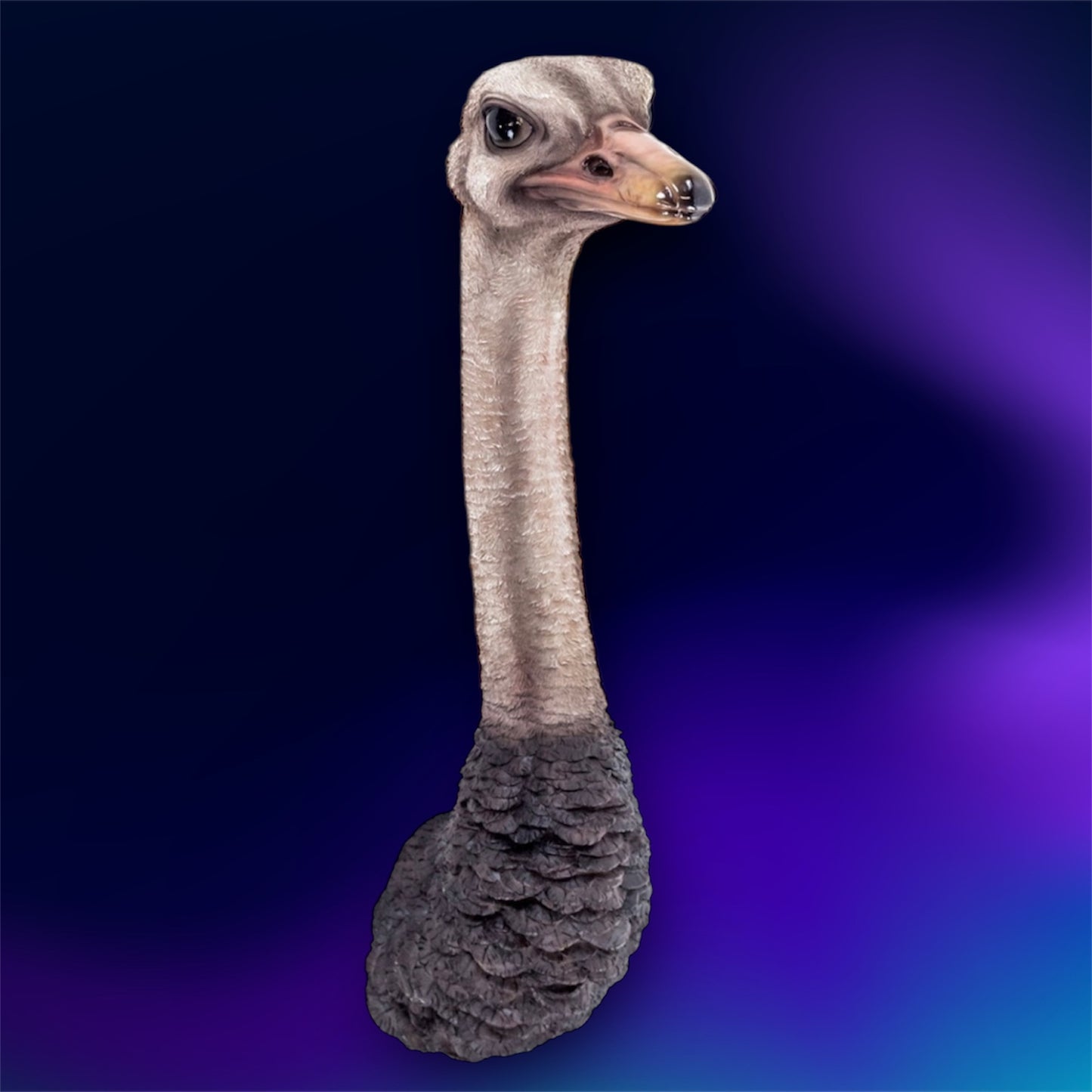 Stunning Ostrich Wall Mount – Realistic Resin Art