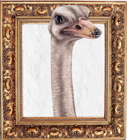 Stunning Ostrich Wall Mount – Realistic Resin Art