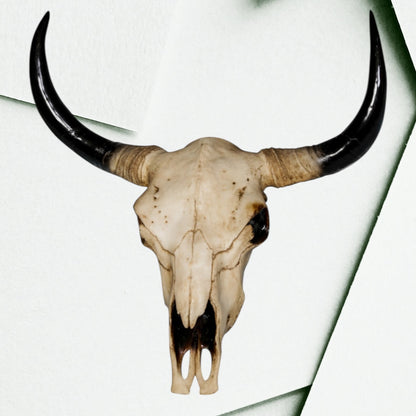Extra Large Bison Wall Head – Majestic Resin Skull Wall Mount