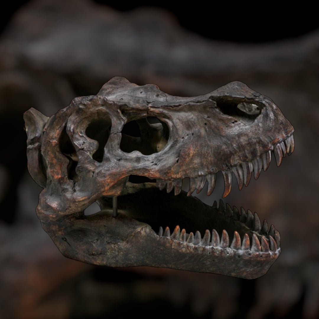 Large T-Rex Dinosaur Head Wall Mount - Stunning Prehistoric Decor