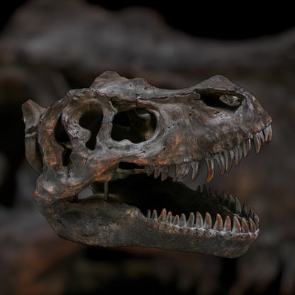 Large T-Rex Dinosaur Head Wall Mount - Stunning Prehistoric Decor