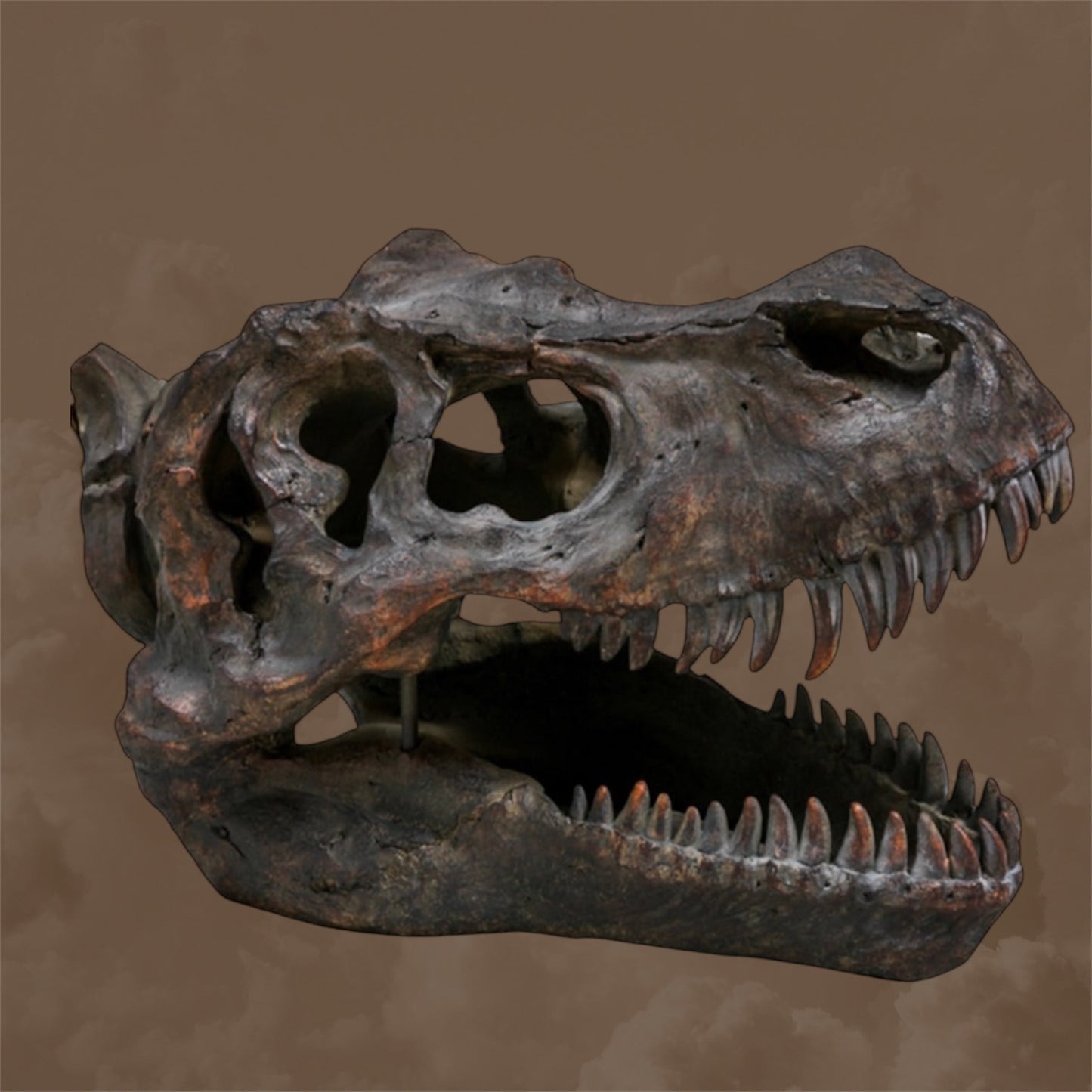 Large T-Rex Dinosaur Head Wall Mount - Stunning Prehistoric Decor