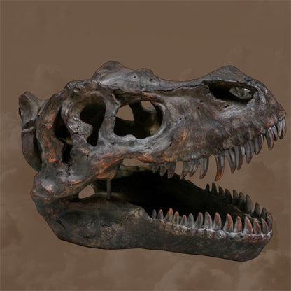 Large T-Rex Dinosaur Head Wall Mount - Stunning Prehistoric Decor