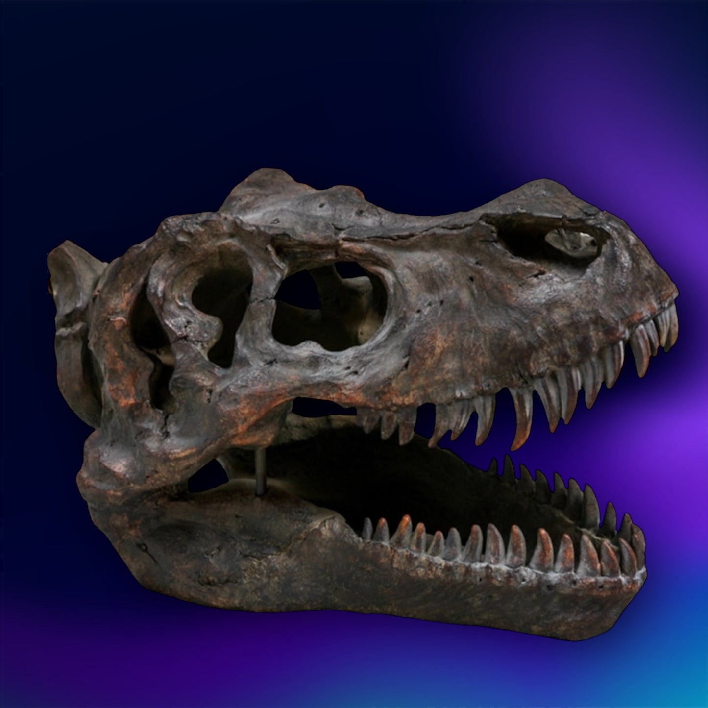 Large T-Rex Dinosaur Head Wall Mount - Stunning Prehistoric Decor