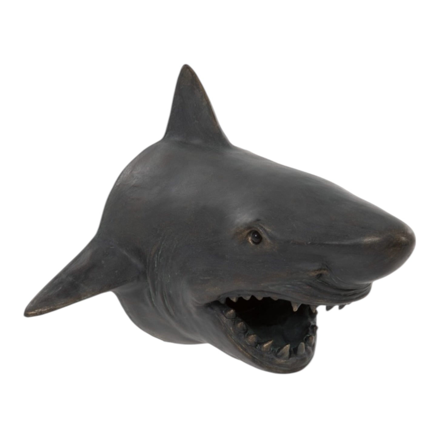 Shark Head Wall Mount – Bold Ocean Predator Decor