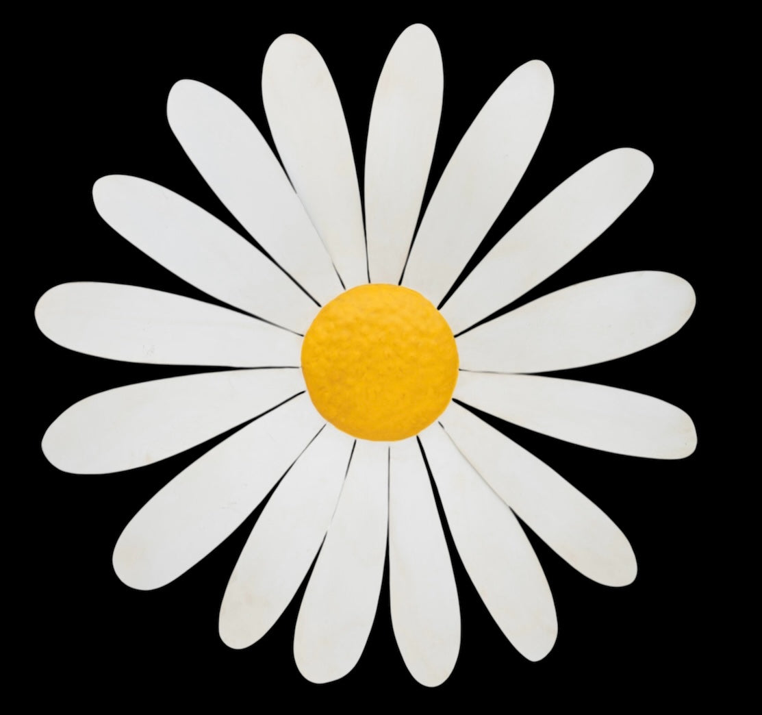 Daisy Metal Wall Art - Striking Indoor/Outdoor Decor