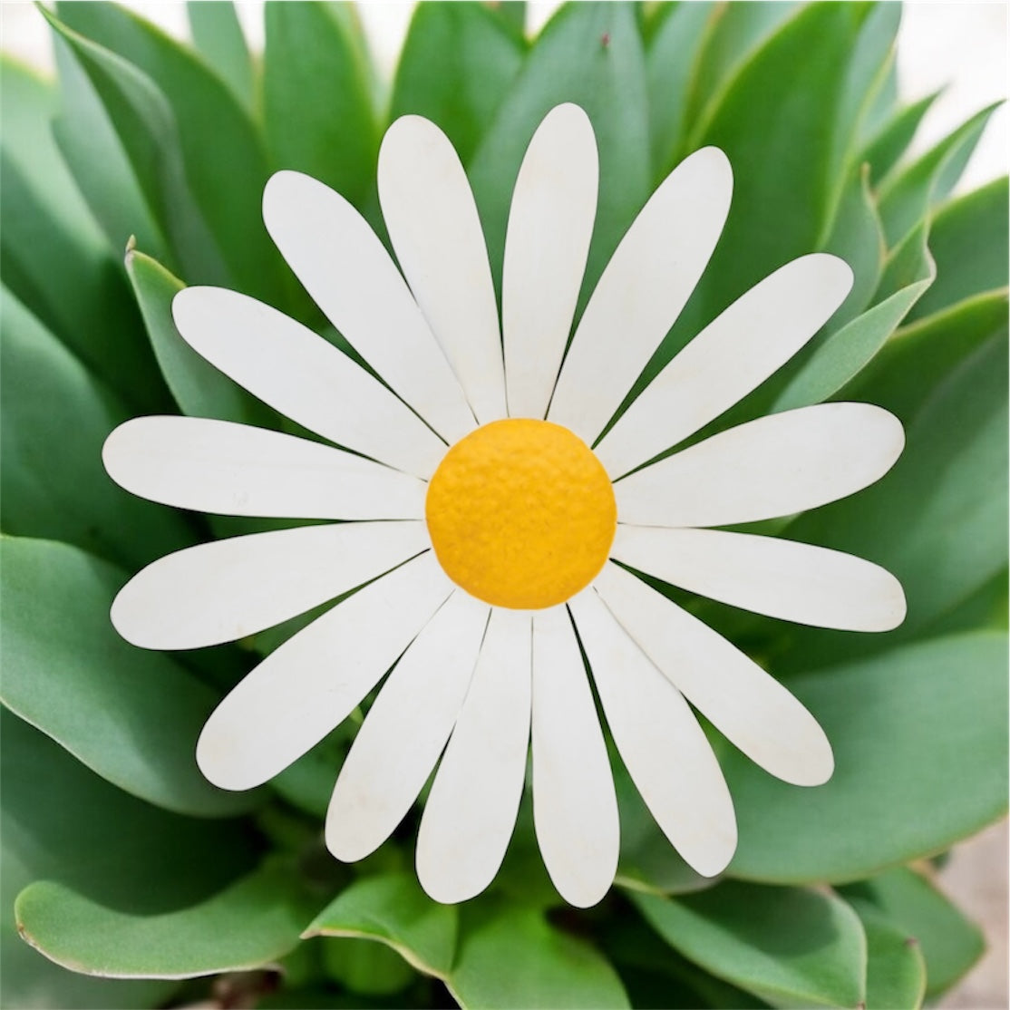 Daisy Metal Wall Art - Striking Indoor/Outdoor Decor