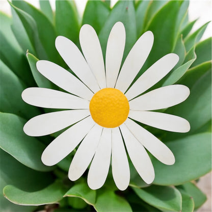 Daisy Metal Wall Art - Striking Indoor/Outdoor Decor