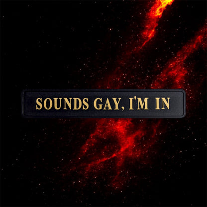 Sounds Gay, I'm In" Sign - Black and Gold MDF Wall Art