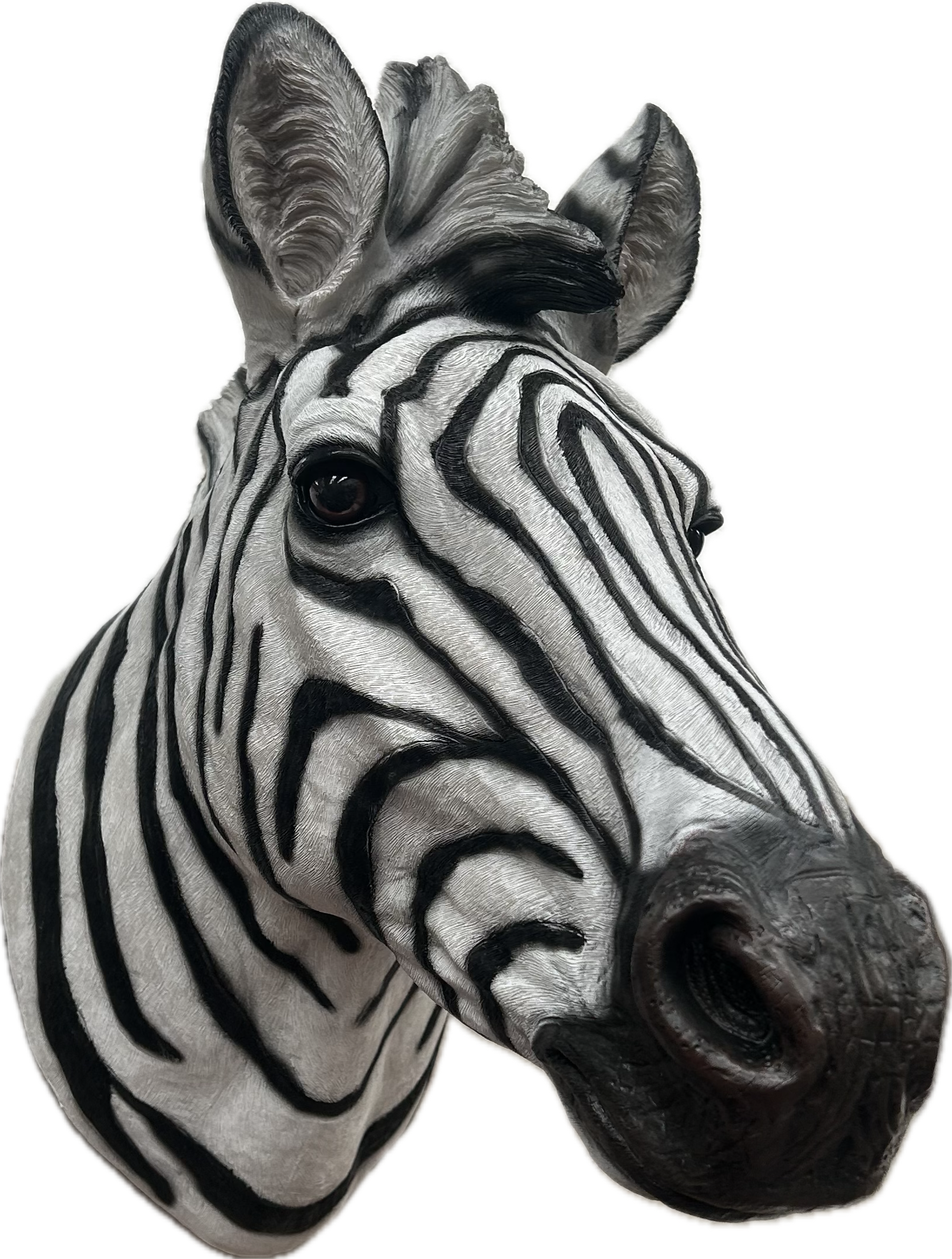 Zebra Wall Mount - Stunning Safari-Inspired Wall Decor | Sign of the times Stoke