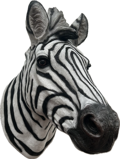 Zebra Wall Mount - Stunning Safari-Inspired Wall Decor | Sign of the times Stoke