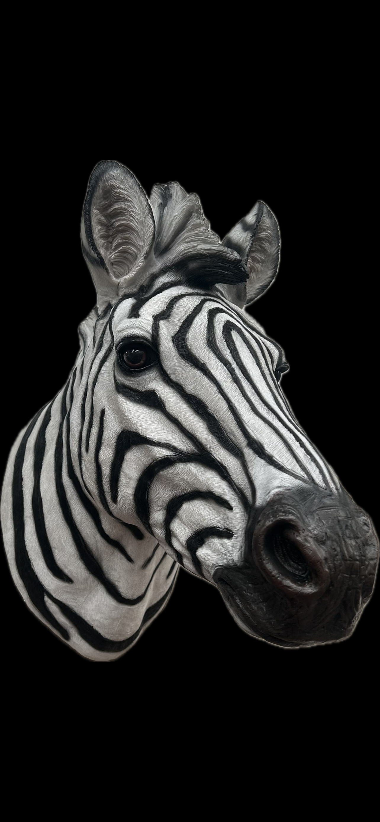 Zebra Wall Mount - Stunning Safari-Inspired Wall Decor | Sign of the times Stoke