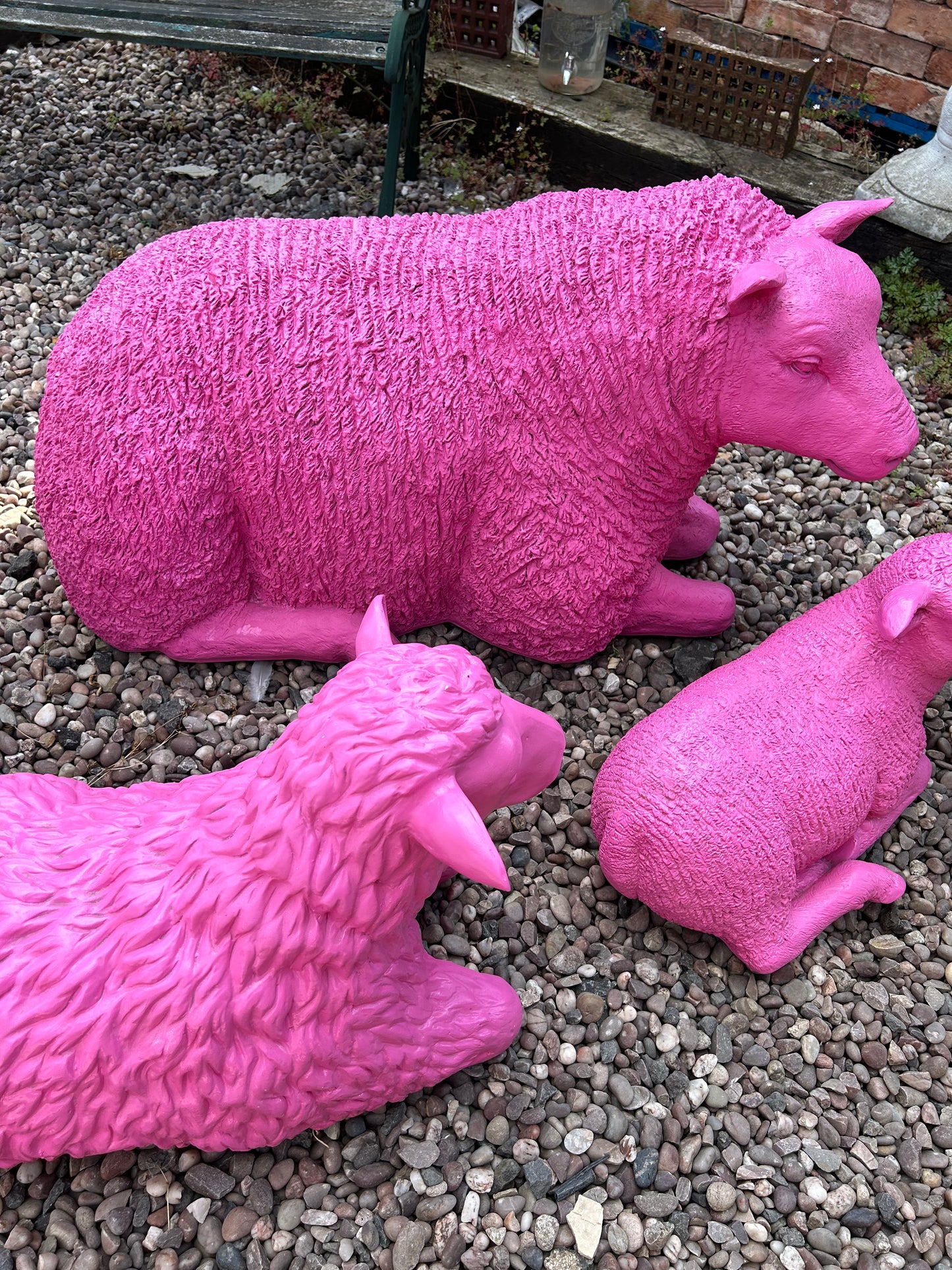 Pink Sheep Garden Sculpture – Glamorous Resin Outdoor Decor | Sign of the times Stoke