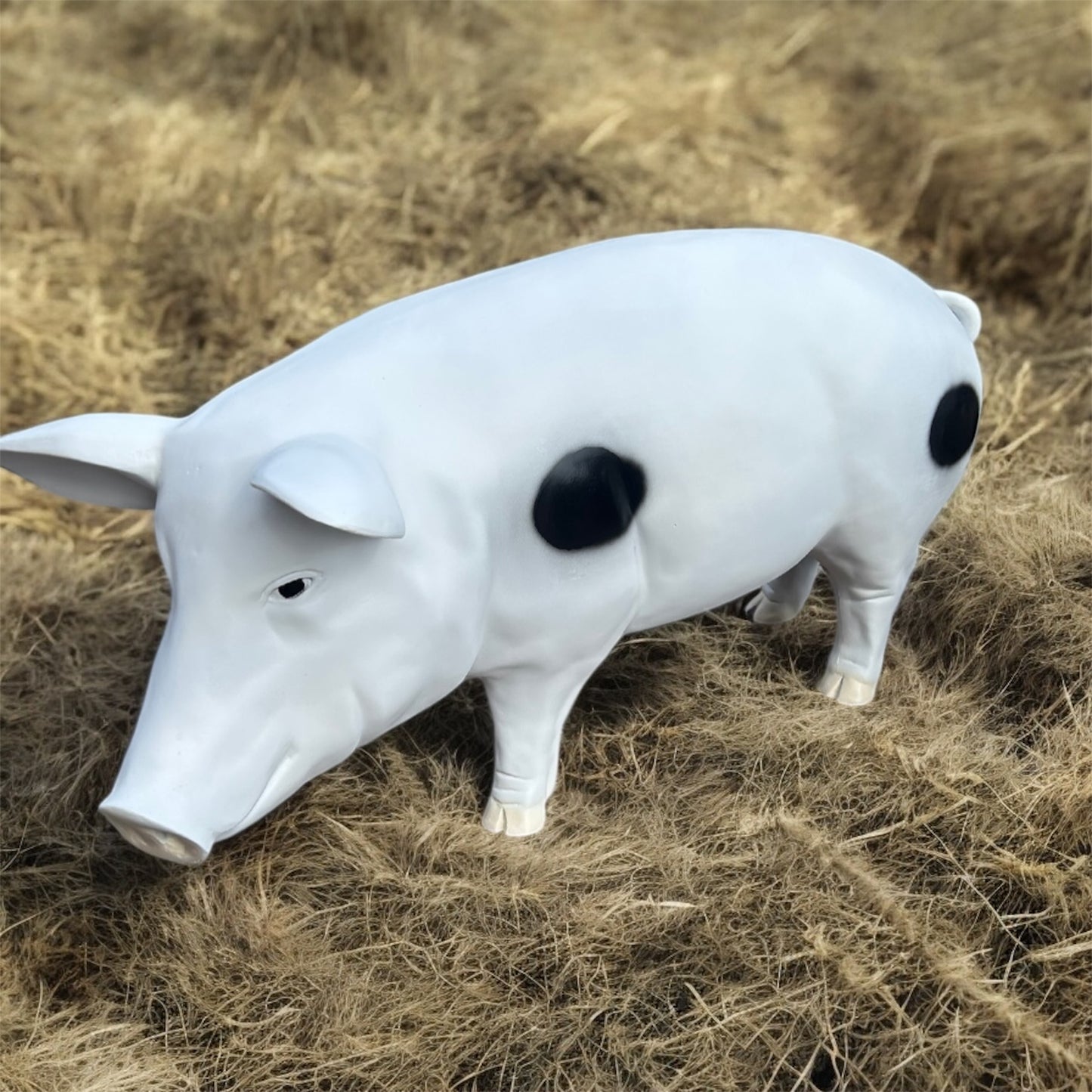 Pig Garden Sculpture - Unique Resin Pig Statue for Indoor/Outdoor Decor