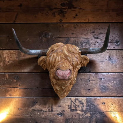 Resin Highland Cow Wall Head | Rustic Farmhouse-Style Animal Wall Decor | Sign of the times Stoke
