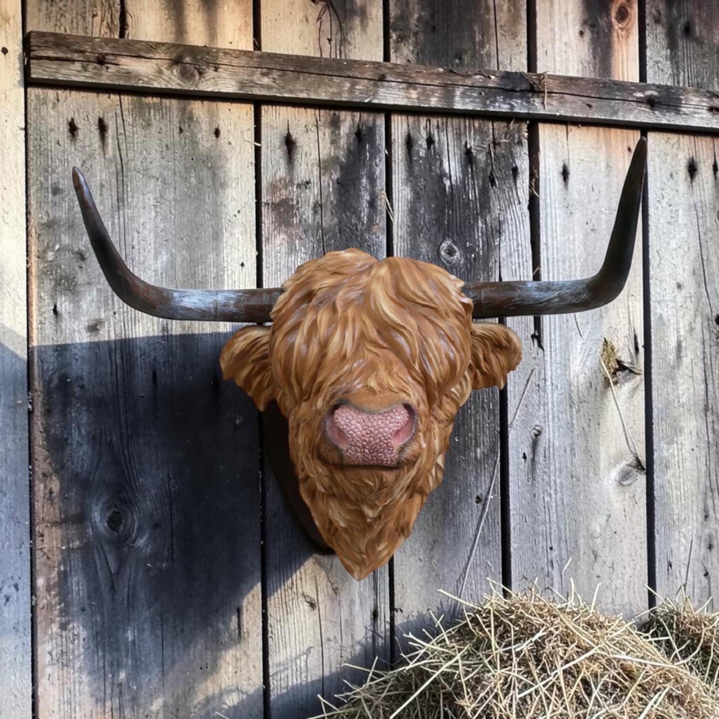 Resin Highland Cow Wall Head | Rustic Farmhouse-Style Animal Wall Decor | Sign of the times Stoke