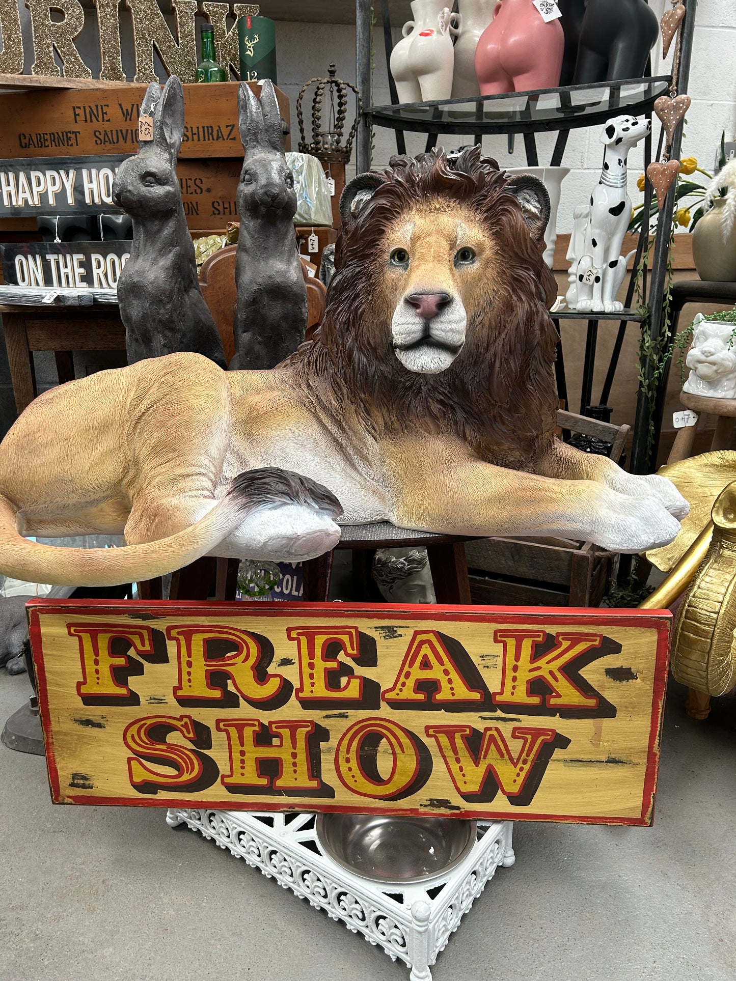 Vintage Freak Show Sign - Circus-Themed Wall Art & Décor