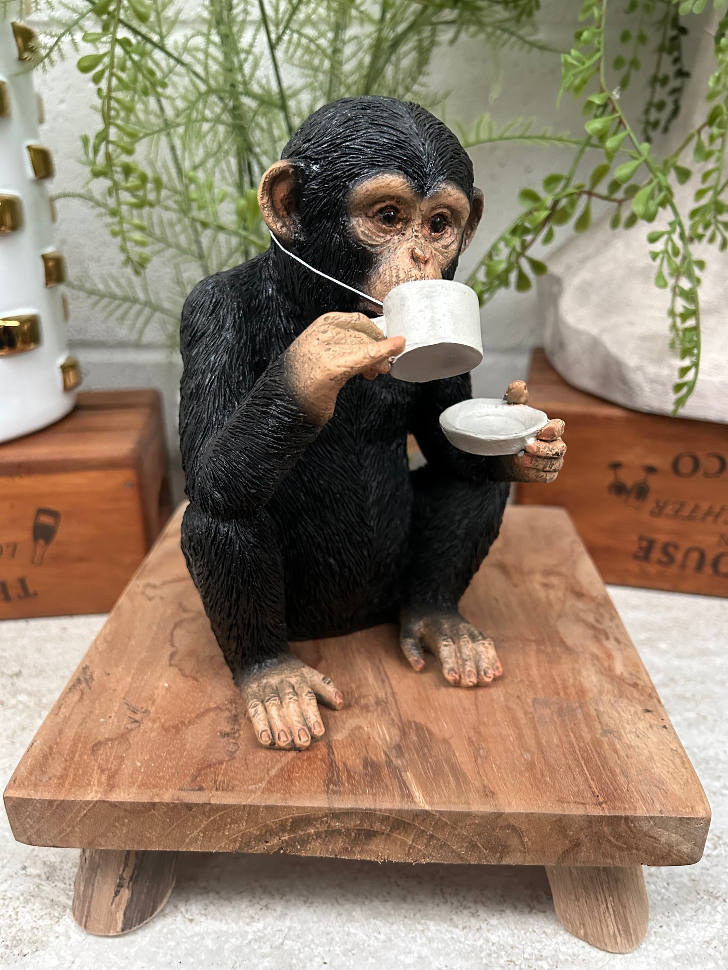 Cup of Tea Monkey - Adorable Resin Monkey Figurine