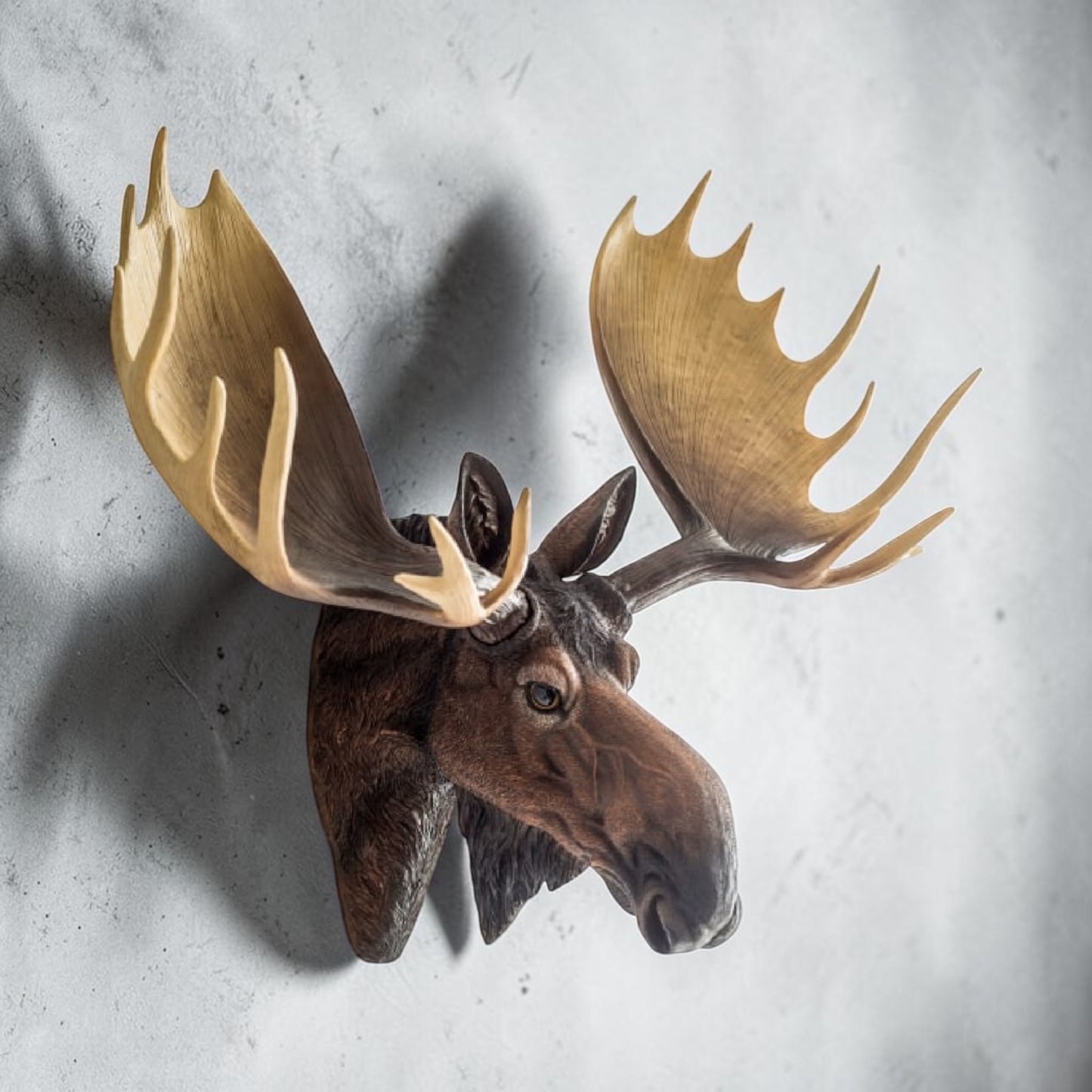 Realistic Moose Wall Mount – Exquisite Rustic Wall Head Decoration