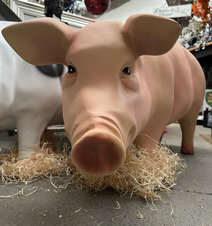 Pig sculpture
