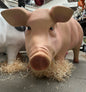 Pig sculpture