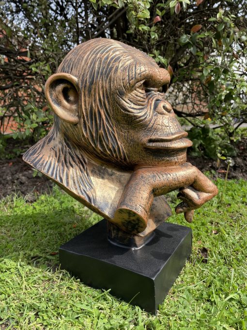 Chimpanzee Monkey Head on a Plinth – Captivating Animal Sculpture