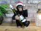 Up Yours Monkey Wine Bottle Holder – Cheeky Christmas Gift & Home Decor