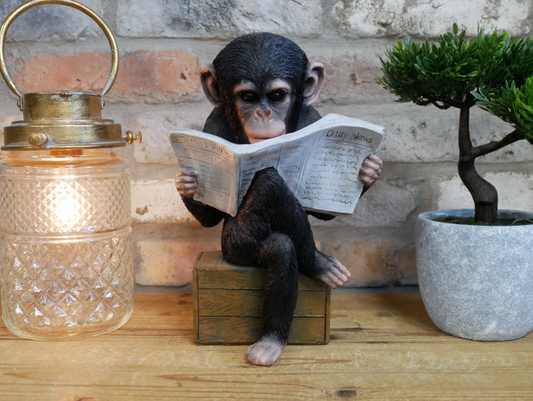 Monkey Reading the News - Charming Resin Figurine | Sign of the times Stoke