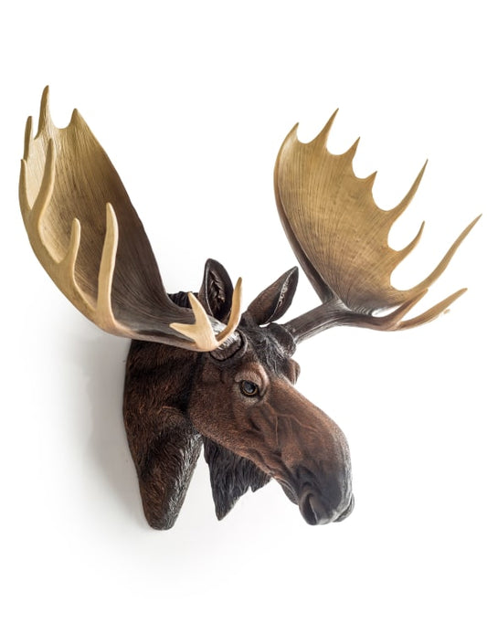 Realistic Moose Wall Mount – Exquisite Rustic Wall Head Decoration | Sign of the times Stoke