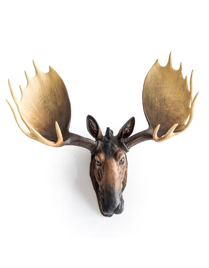 Realistic Moose Wall Mount – Exquisite Rustic Wall Head Decoration | Sign of the times Stoke