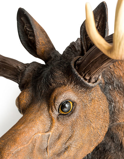 Realistic Moose Wall Mount – Exquisite Rustic Wall Head Decoration | Sign of the times Stoke