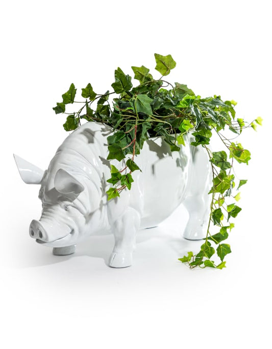 Extra Large Bright White Pig Planter - for Indoor and Outdoor | Sign of the times Stoke