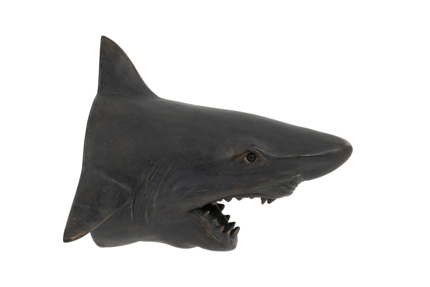 Shark Head Wall Mount – Bold Ocean Predator Decor