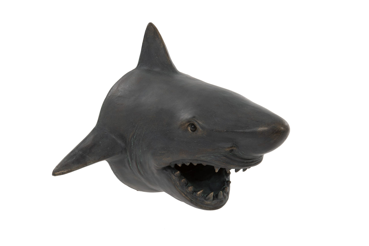 Shark Head Wall Mount – Bold Ocean Predator Decor