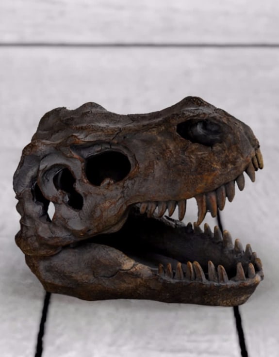 T Rex Skull Table Decor - Impressive Resin Dinosaur Skull Sculpture | Sign of the times Stoke