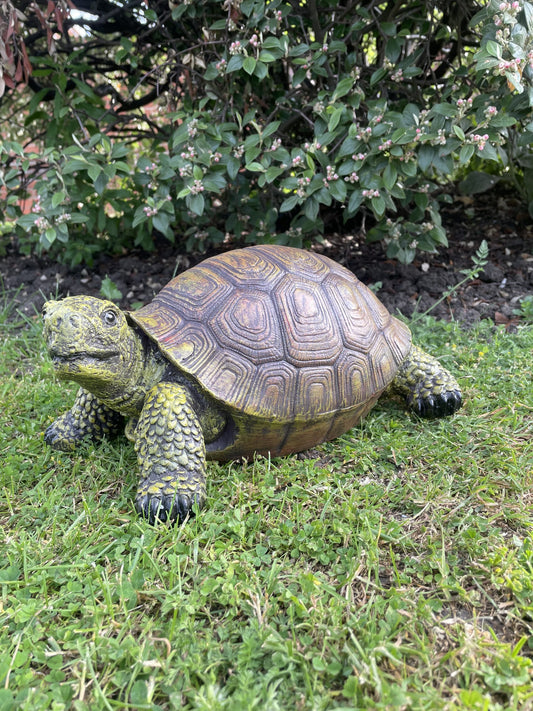 Large Resin Tortoise Sculpture – Realistic Outdoor/Indoor Decor | Sign of the times Stoke