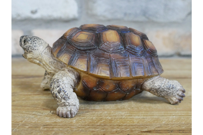 Small Tortoise Ornament | Charming Animal Decor for Home or Garden